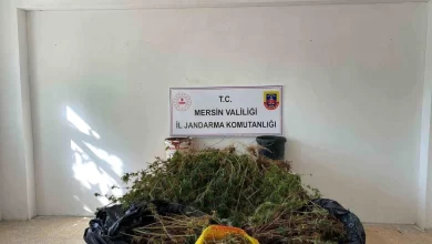 Mersin'de Uyuşturucu Operasyonu: 2 Gözaltı, 5 Kilo Esrar ve 649 Kök Kenevir Ele Geçirildi