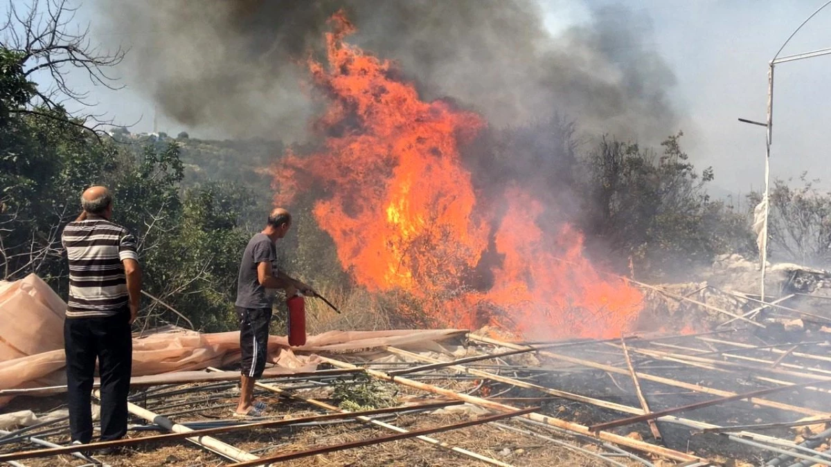 Mersin Erdemli'de Sera Yangını: 10 Dönümlük Makilik Alan Zarar Gördü