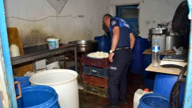 Mersin'de Kaçak Peynir İmalathanesi Tespit Edildi