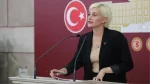 DEM Parti Milletvekili Perihan Koca, sokak hayvanlarıyla ilgili düzenleme tartışmasında AK Partilileri kızdırdı