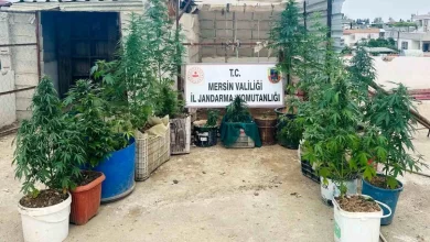 Mersin'de Hint Keneviri Operasyonu: 2 Şüpheli Yakalandı, 2 Kilo 150 Gram Esrar Ele Geçirildi