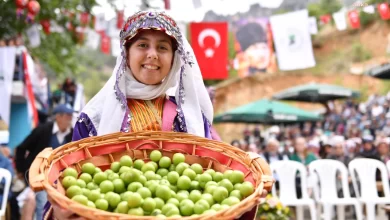 Mersin Büyükşehir Belediyesi Gezende Erik ve Kültür Festivali'ne Destek Verdi