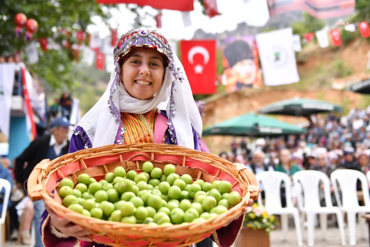 Mersin Büyükşehir Belediyesi Gezende Erik ve Kültür Festivali'ne Destek Verdi