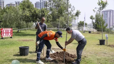 Mersin Büyükşehir Belediyesi Etik Haftası'nda Hatıra Ormanı Dikim Töreni Düzenledi