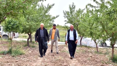Mersin Büyükşehir Belediyesi 'Organik Tarım' Projesiyle Üreticileri Destekliyor