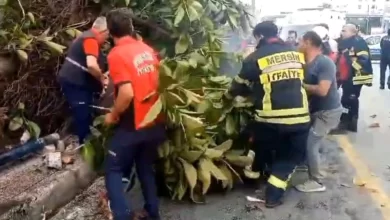 Mersin'de kırmızı ışıkta geçen otomobil yayalara ve ağaca çarptı, 1 kişi hayatını kaybetti