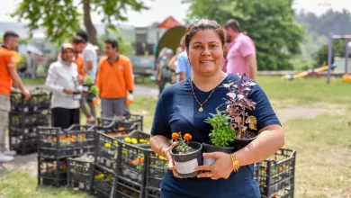 Mersin Büyükşehir Belediyesi, haşere ile mücadelede bitkisel yöntemleri kullanıyor