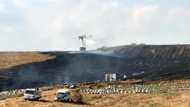Tarsus'ta Anız Yangınında Arı Kovanları Zarar Gördü