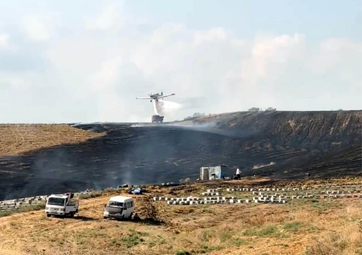 Tarsus'ta Anız Yangınında Arı Kovanları Zarar Gördü