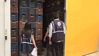 Mersin'de HKS'ye kaydedilmeyen 380 ton limon tespit edildi