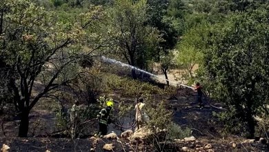 Mersin'de Tarım Alanında Çıkan Yangın Kontrol Altına Alındı