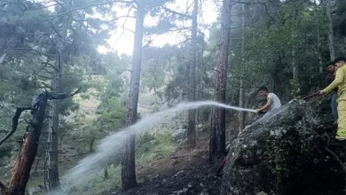 Tarsus'ta Orman Yangını Kontrol Altına Alındı