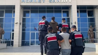 Silifke'deki orman yangınlarıyla ilgili 2 şüpheli tutuklandı