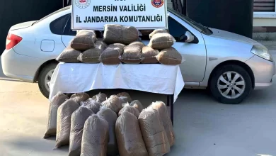 Mersin'de 310 Kilogram Kaçak Tütün Ele Geçirildi, 1 Şüpheli Yakalandı