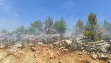 Silifke'de 4 Ayrı Noktada Çıkan Orman Yangınları Söndürüldü