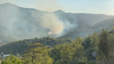 Silifke'de Orman Yangını Kontrol Altına Alınmaya Çalışılıyor