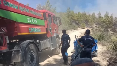 Silifke'de Orman Yangını Söndürme Çalışmaları Başladı