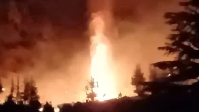 Erdemli'de Meyve Bahçesinde Yangın Çıktı