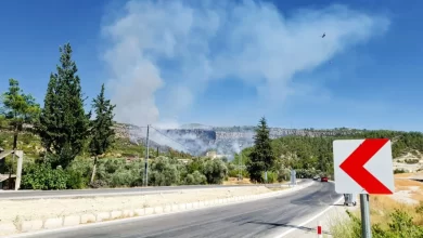 Silifke'de Orman Yangını Çıktı