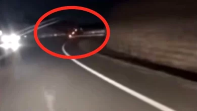 Mersin Erdemli'de Domates Yüklü Kamyonun Karıştığı Kaza