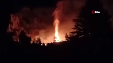 Mersin'deki orman yangını kontrol altına alındı