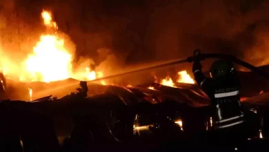 Mersin Erdemli'de Limon İşleme Tesisi Yangını