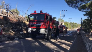 Mersin'de ağaçlık alanda çıkan yangın kontrol altına alındı