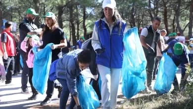 Ormanlar İçin Temizlik Etkinliği