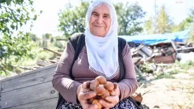 Mersin'de Çiftçilere Modern Ceviz Soyma Makinesi Desteği