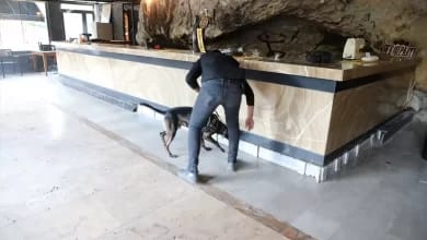 Mersin'de Uyuşturucu Operasyonunda 4 Tutuklama