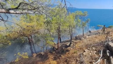 Gülnar'da Orman Yangını Söndürüldü