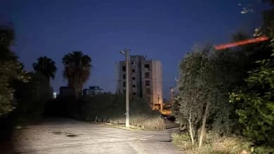 Mersin'de Cinayet ve Tehdit Olayı