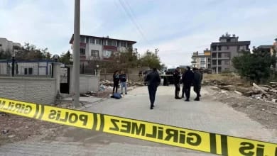 Mersin'de Aile Faciası: Anne ve Oğul Öldürüldü
