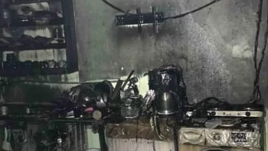 Tarsus'taki Narenciye Paketleme Fabrikasında Yangın Çıktı