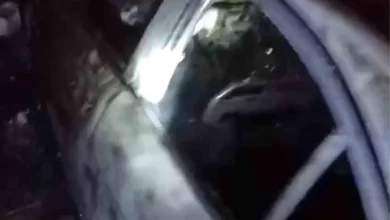 Tarsus'ta Yangın: Araç Yanarken 15 Tavuk Telef Oldu