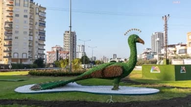 Mersin'de Kavşaklarda Estetik Peyzaj Düzenlemeleri Yapılıyor
