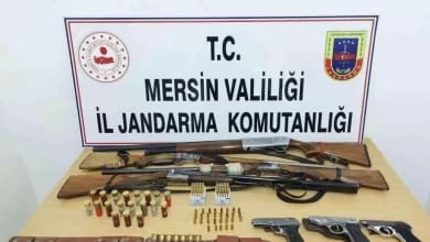 Mersin'de Silah Operasyonu: 7 Silah Ele Geçirildi