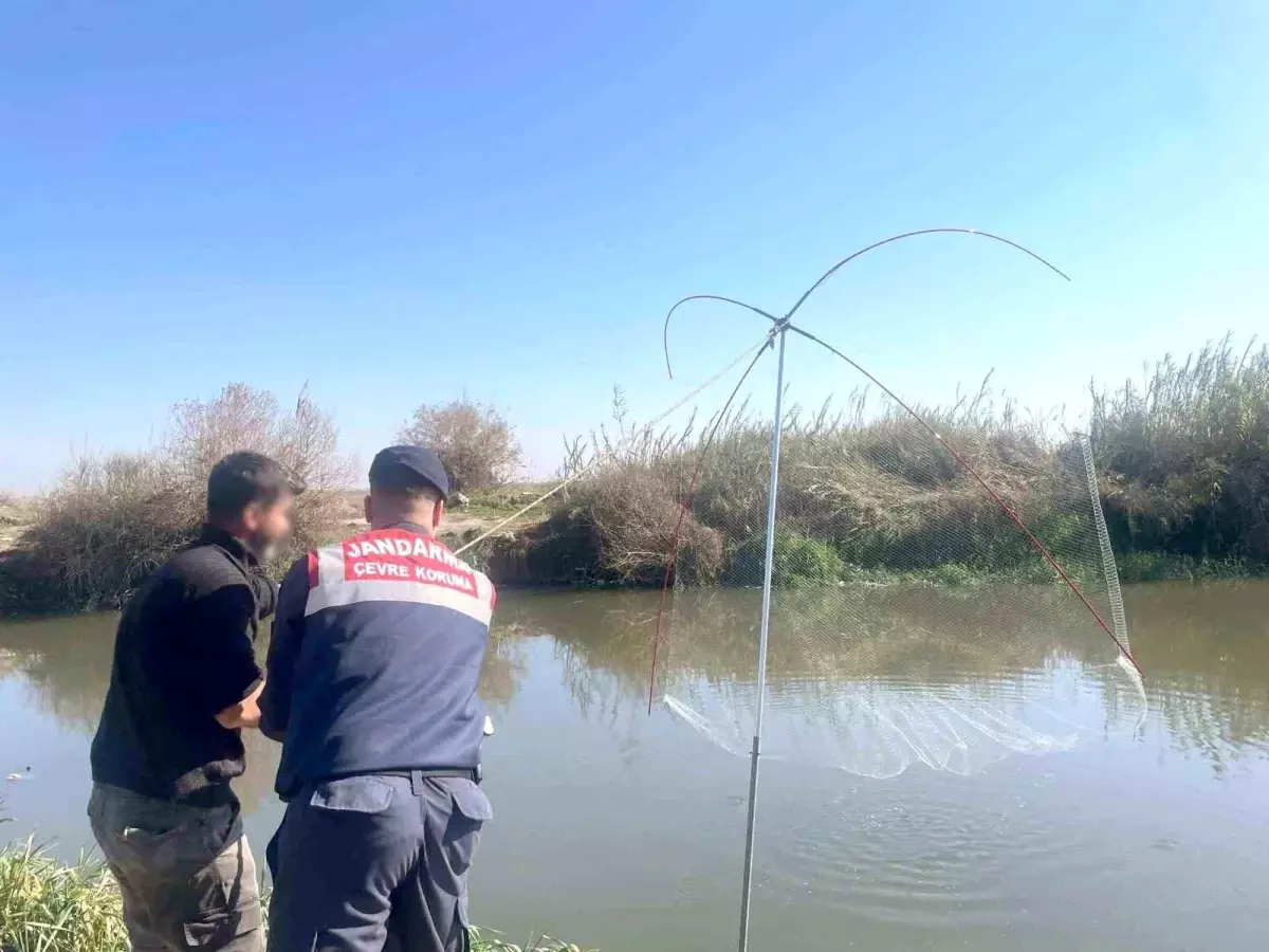 Mersin'de Yasak Avcılık Operasyonu