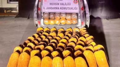 Mersin'de 580 kg Kaçak Tütün Ele Geçirildi