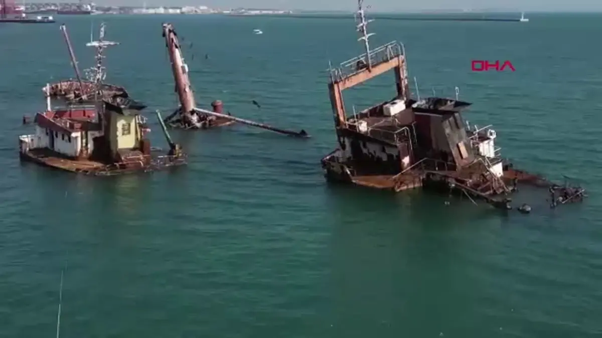 Mersin Limanı'ndaki Batık Gemi Enkazları, Deniz Hayatı için Önemli Habitat Oluşturuyor