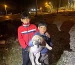 Mersin'de Yavru Köpek Kuyuya Düştü, İtfaiye Tarafından Kurtarıldı