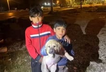 Mersin'de Yavru Köpek Kuyuya Düştü, İtfaiye Tarafından Kurtarıldı