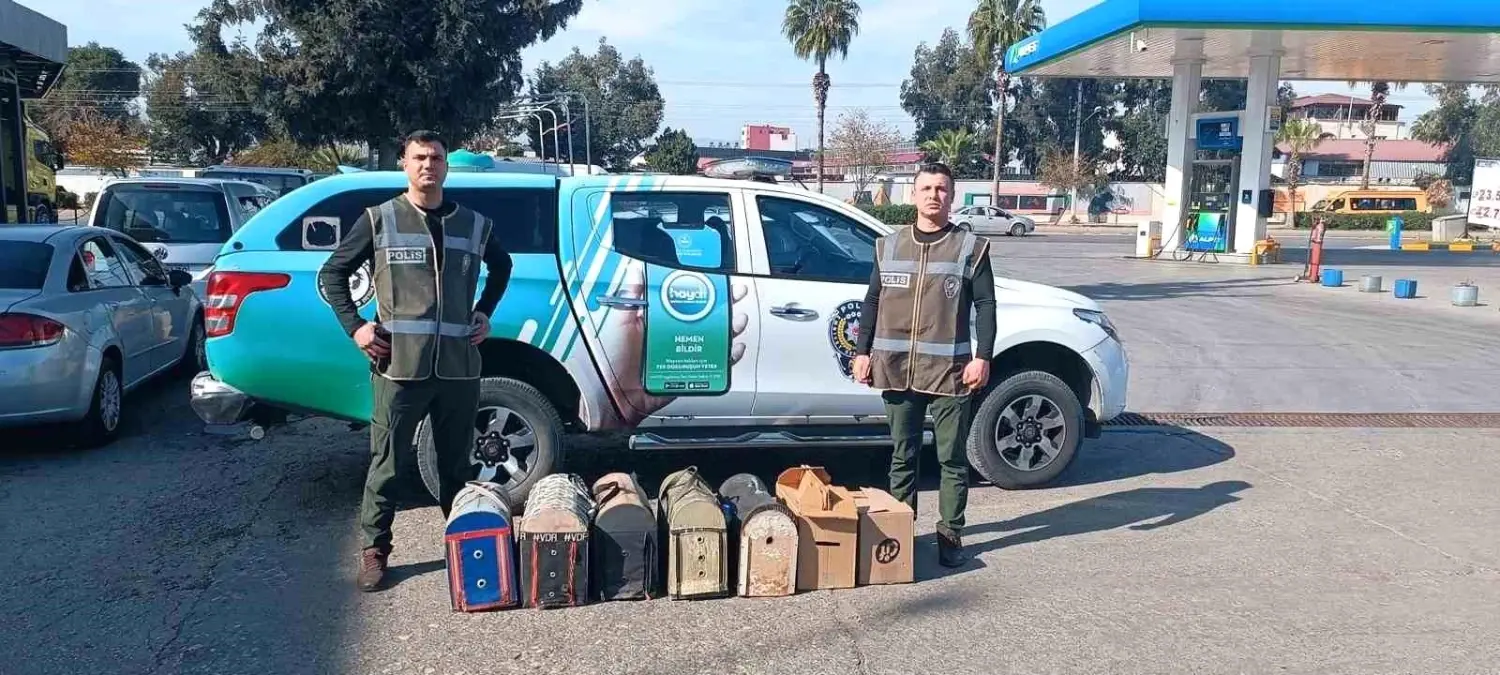 Mersin'de Horoz Dövüşüne Baskın